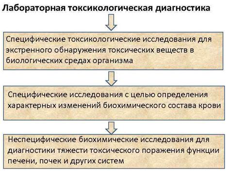 Исследования свидетельствуют о наличии токсических веществ в протухшем крахмале