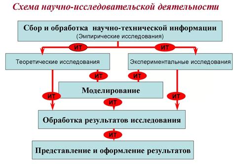 Исследовательская работа по изучению поведения и характеристик медведей