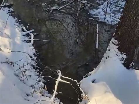 Исследуйте потоки и водоемы