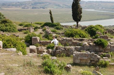 История возникновения и значение сада Гесперид