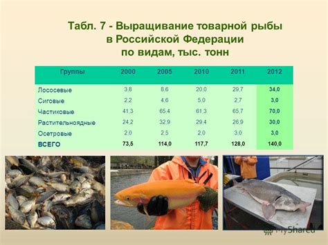 История изучения ледяной рыбы на просторах Российской Федерации