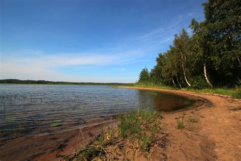 История и особенности Токсово в окрестностях Петербурга