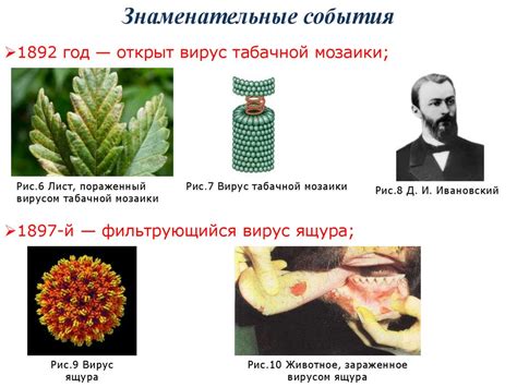 История и становление вирусологии