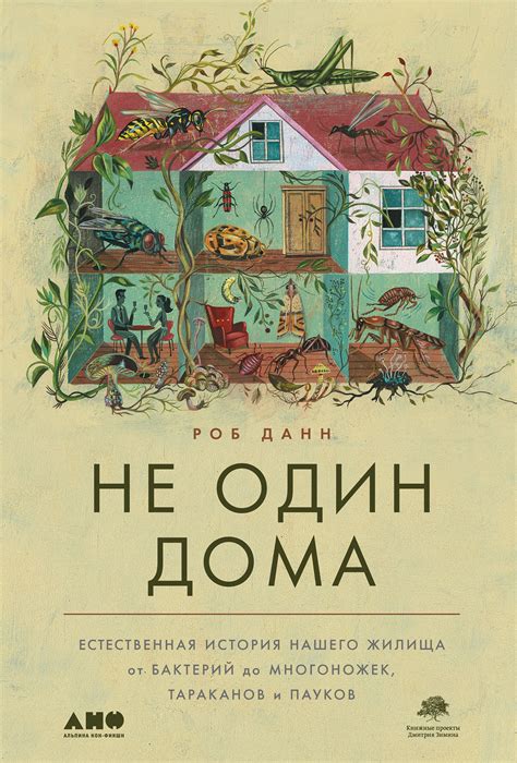 История нашего жилища: от давних эпох до наших дней