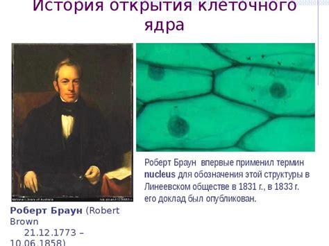 История открытия и изучения клеточного ядра