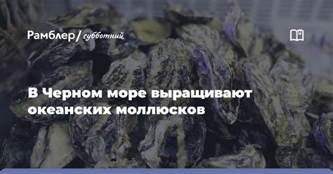 История открытия и распространения моллюсков в Черном море