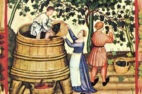 История происхождения вина