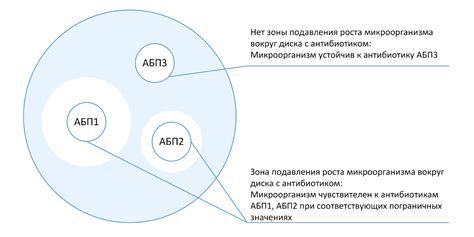 История развития методики определения чувствительности микроорганизмов к лекарственным препаратам