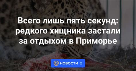 История редкого хищника в культовой видеоигре: захватывающие факты