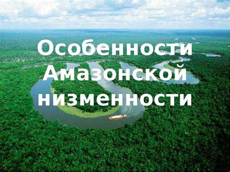 История формирования Амазонской низменности