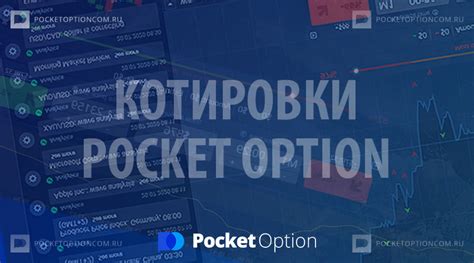 Источники и обналичивание кристаллов в Pocket Option: откуда они берутся и как ими расплатиться