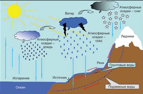 Источники крахмала в мире воды