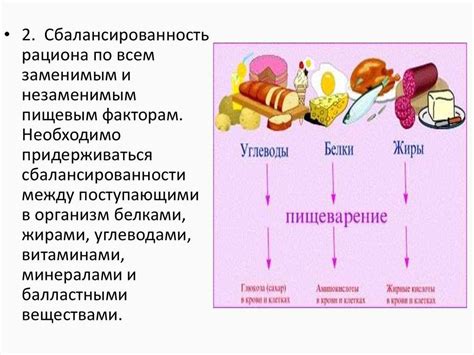 Источники питательных веществ для разнообразного рациона