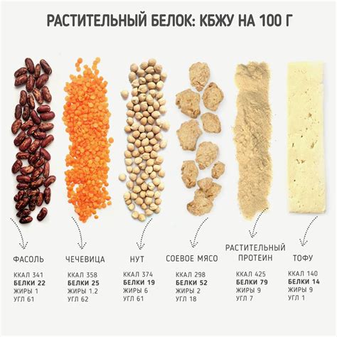 Источники питательных компонентов в растительных продуктах