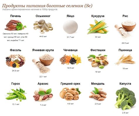 Источники пищи с высоким содержанием витамина селена