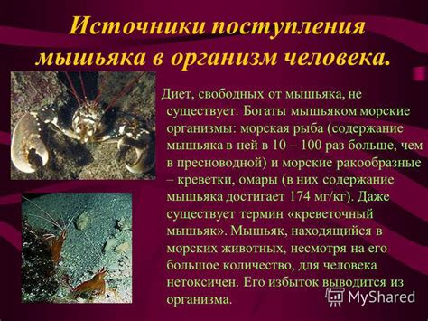 Источники поступления мышьяка в организм