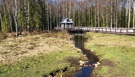 Источник великой Волги в уникальной Валдайской возвышенности