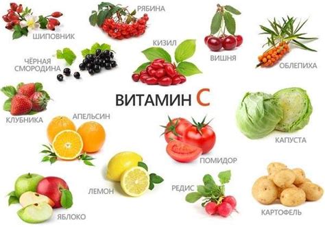 Источник витамина С и других полезных веществ