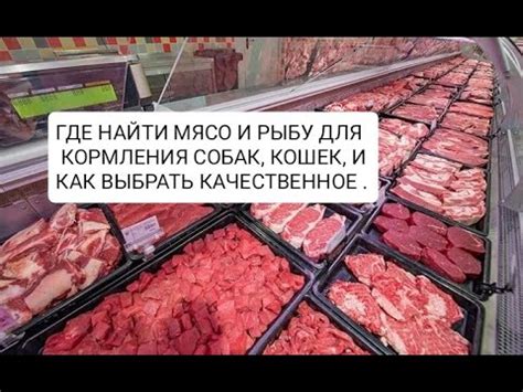 Источник успеха: где и как найти качественное мясо