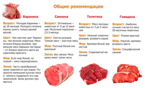 Итоговые рекомендации по покупке экономичного мяса