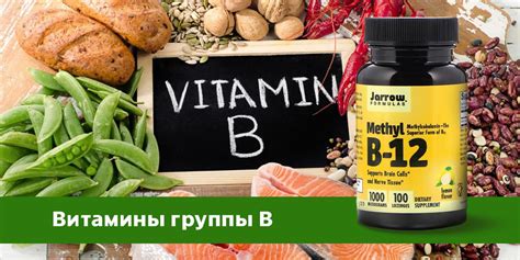 Какие витамины группы Б выбрать для кошек