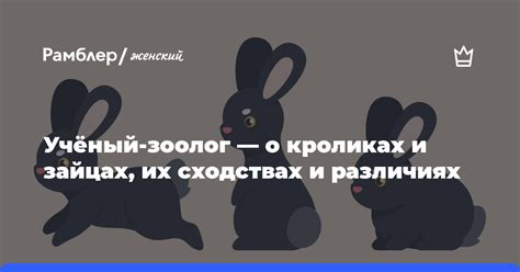 Какие символы скрывает сон о кроликах и их важность в жизни женщины