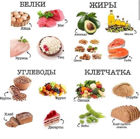 Как включить продукты, богатые белком, в ежедневный рацион