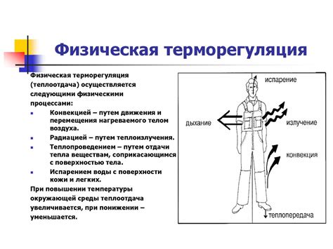 Как влияет степень перелома на изменение нормальной температуры организма