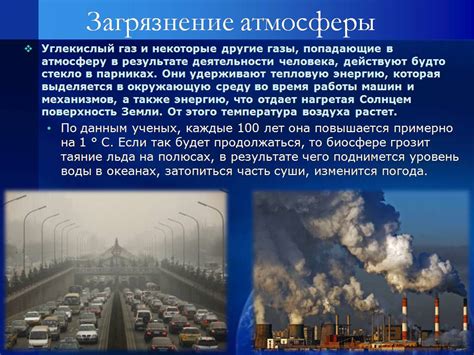 Как воздействие крылатого создания изменяет атмосферу в рабочем пространстве
