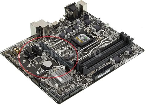 Как выбрать подходящую графическую карту для слота PCI-Express x1