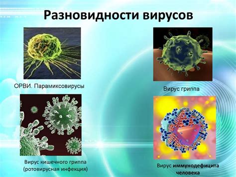 Как выбрать подходящую программу обучения в области исследования вирусных инфекций