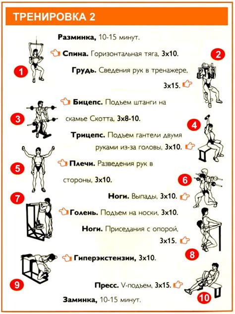 Как выбрать союзника для тренировок в спортивном клубе