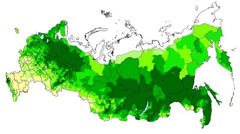 Как географическое положение влияет на уровень доступности и качество онлайн-сервисов