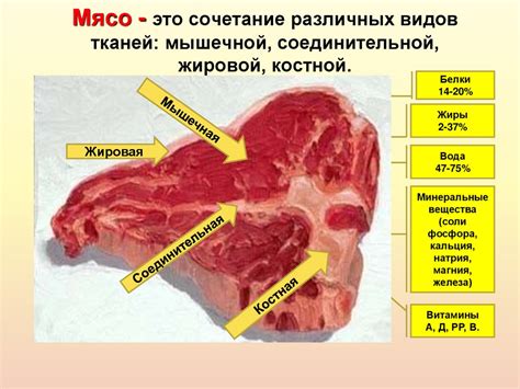 Как грамотно приготовить сухую смесь для обработки мяса перед сушкой