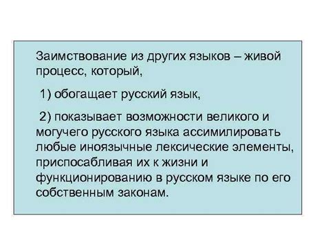 Как живой язык обогащает образовательные материалы