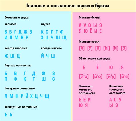 Как звонкие согласные могут добавить очарование вашей речи