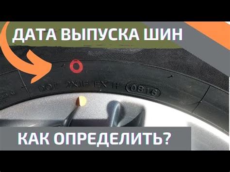 Как избежать покупки старых шин Michelin: важность определения года производства