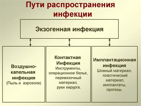 Как инфекция передается в организм: путь проникновения ЧПВ