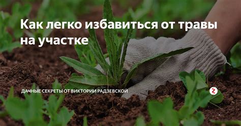 Как легко избавиться от использованных аккумуляторов в Рязани: ценные советы