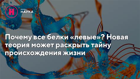 Как наблюдение за взглядом может раскрыть самую загадочную тайну