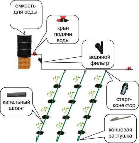 Как настроить систему капельного орошения