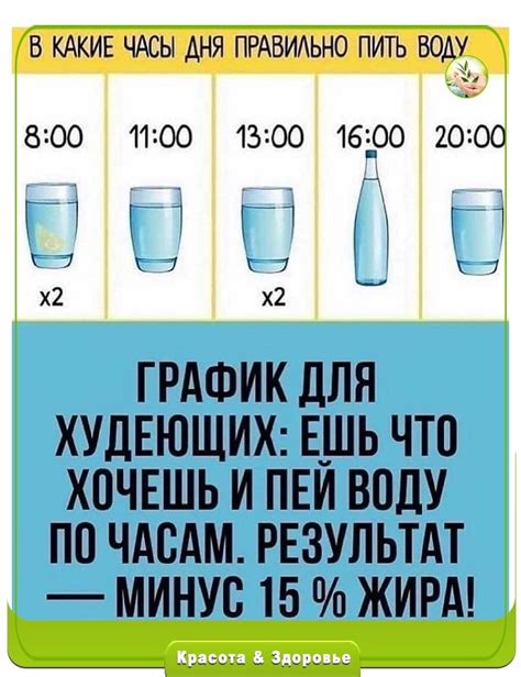 Как научить пушистого спутника пить воду из миски: полезные советы