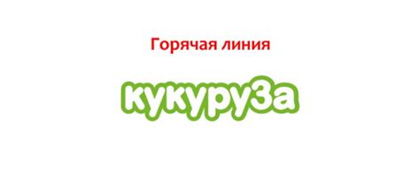 Как обратиться в службу поддержки карты Тройка