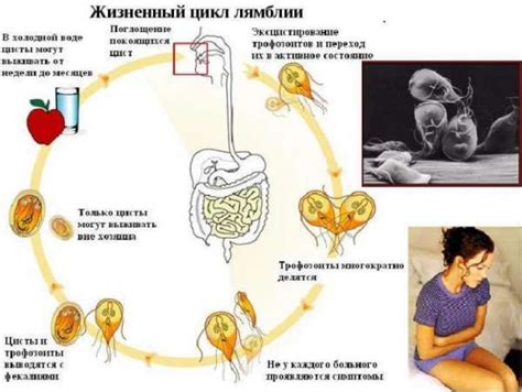 Как определить, что цикл возвращается: признаки и симптомы