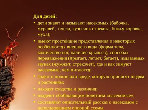 Как осмыслить символику сна о насекомом у питомца для владельца