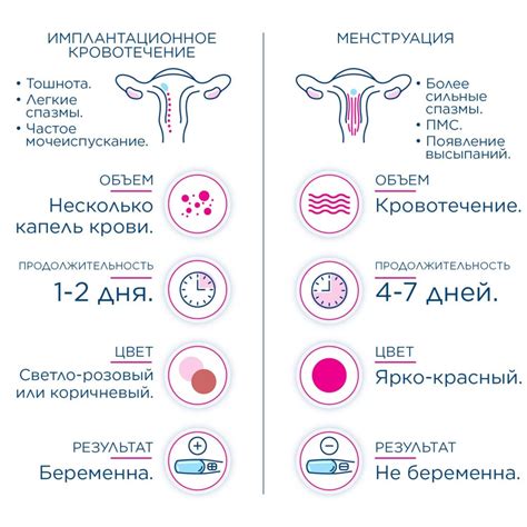 Как отличить повышенную частоту мочеиспускания во время овуляции от других симптомов