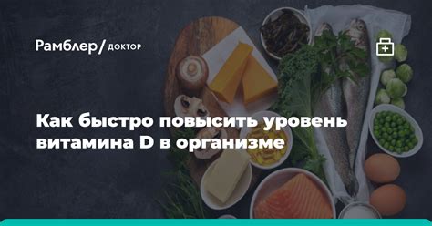 Как повысить уровень витамина D12 в организме