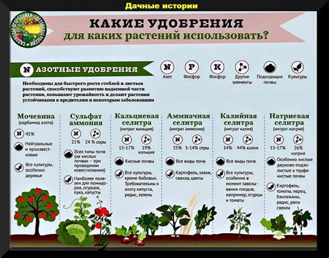 Как подобрать подходящие удобрения для осеннего питания растений