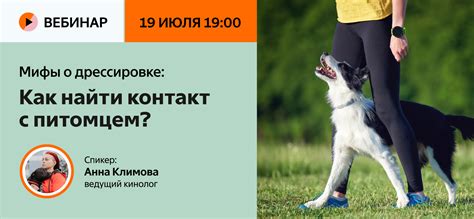 Как правильно взаимодействовать с питомцем, чтобы избежать пониженной позы его хвоста