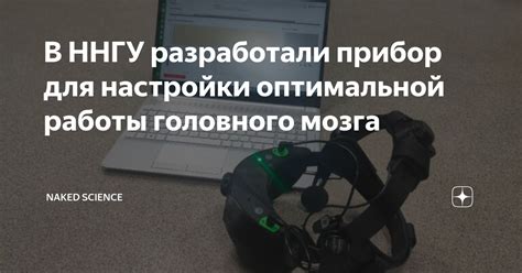 Как правильно выбирать "источники" для оптимальной работы мозга